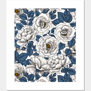 White roses with blue leaves on white Posters and Art